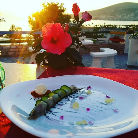 Viola Garden Restaurant 3* Sarande